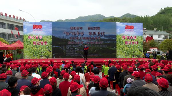 房县第七届樱桃采摘节开幕