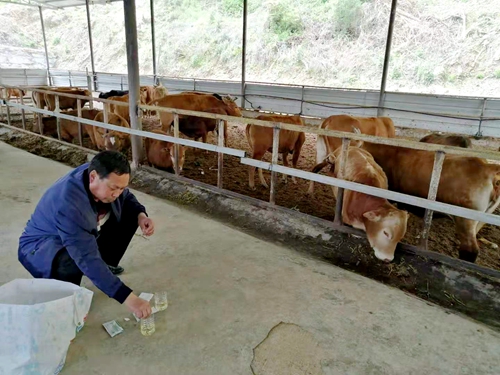 我县开展“瘦肉精”专项整治百日行动