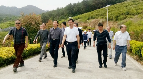 县畜牧兽医服务中心：学百年党史 践牧业担当之责