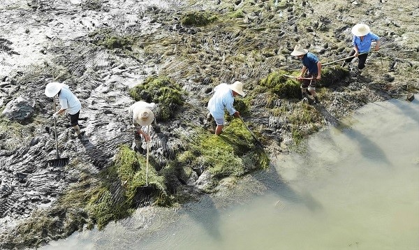 房县：“民间卫士”管护河床