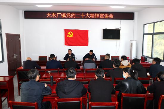丁选清到大木厂镇宣讲党的二十大精神