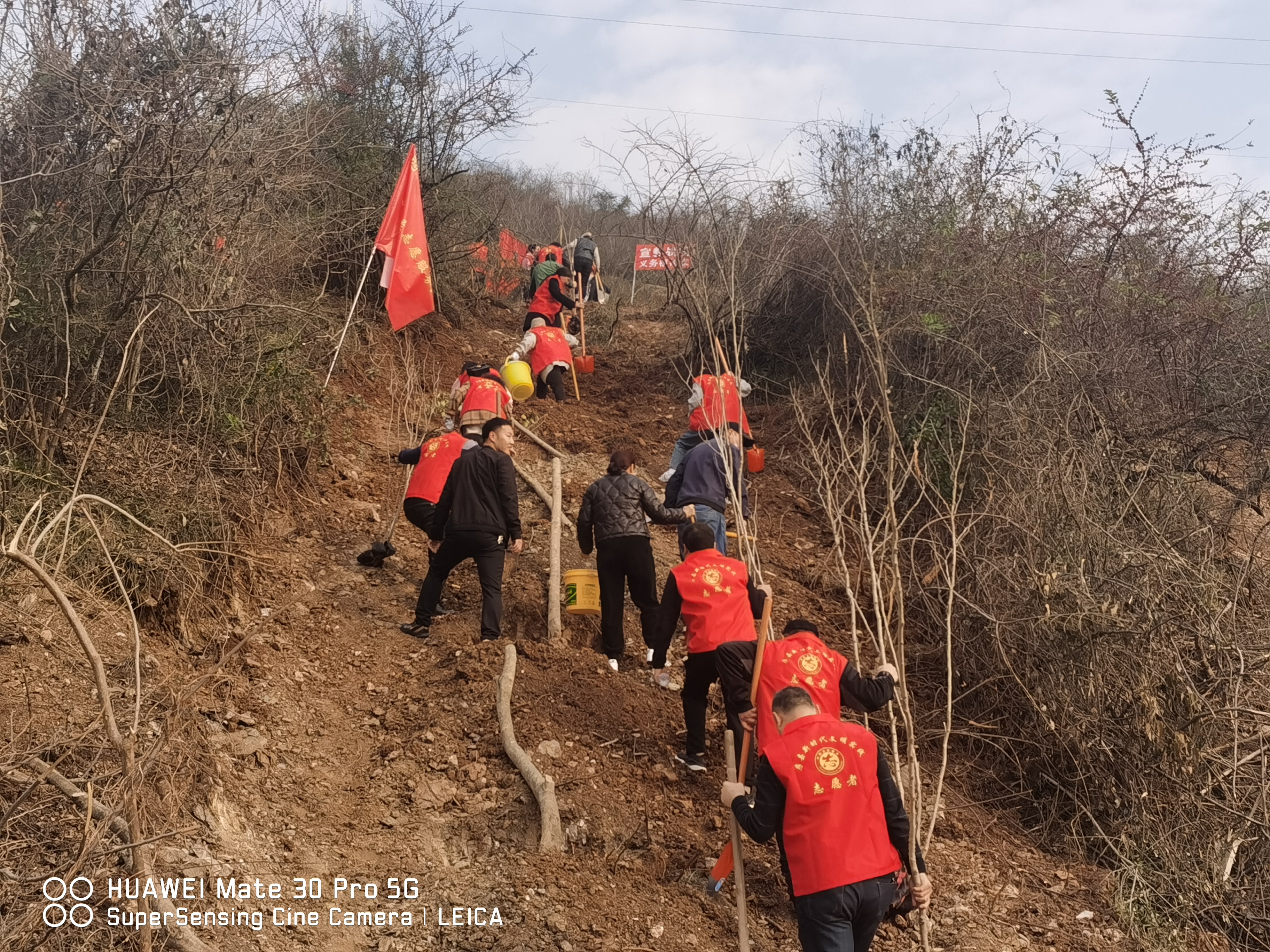 不负春光植树忙 县文旅局组织开展义务植树活动