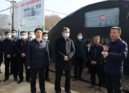 全市春季农业生产现场会在房县召开
