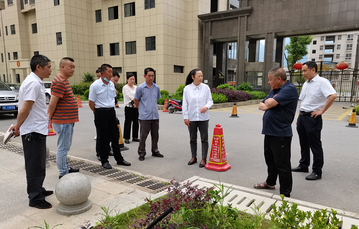 王玲到白土村开展下基层察民情解民忧暖心实践活动