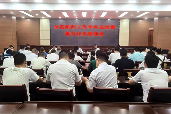 全县组织工作重点任务推进会议召开
