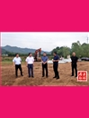 林云国到军店化龙调研指导蔬菜产业和乡村振兴工作