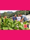 王斌调研上龛乡抗旱救灾情况