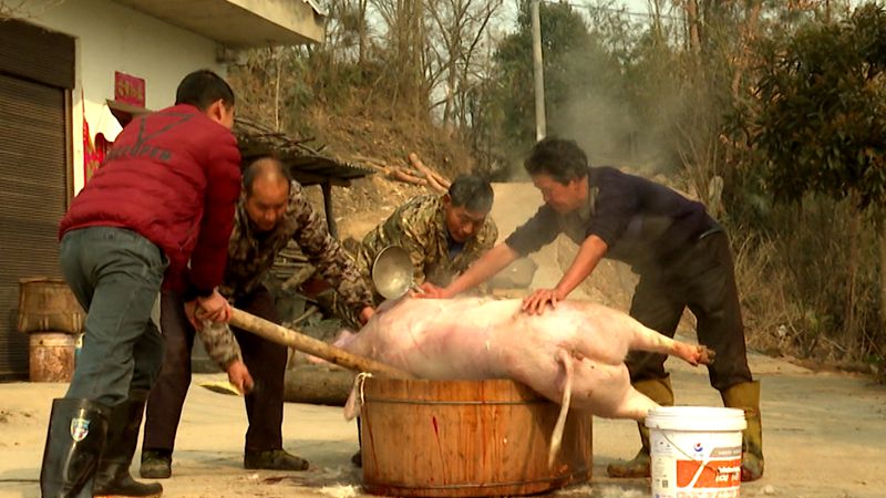 宋成芬：杀年猪 过大年