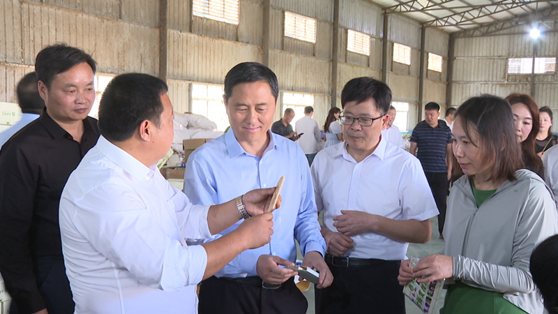 我县开展中药材育苗 初加工厂市场主体拉练活动