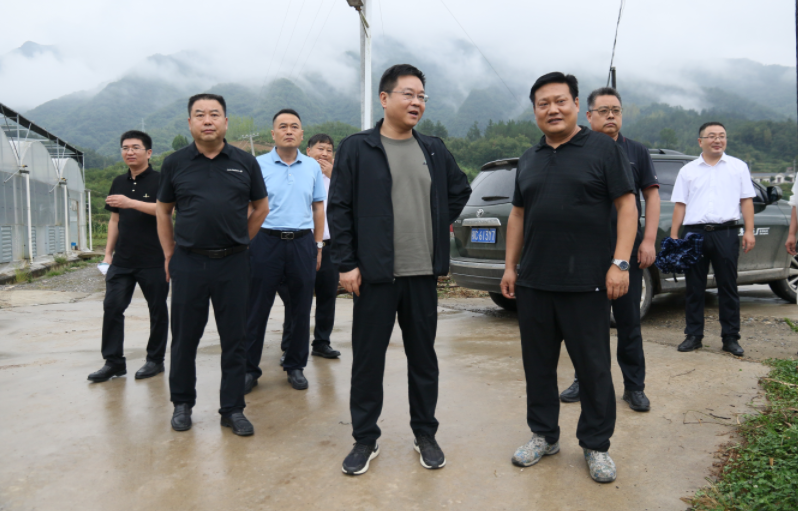 谢晓鸣到门古寺镇检查指导防汛工作