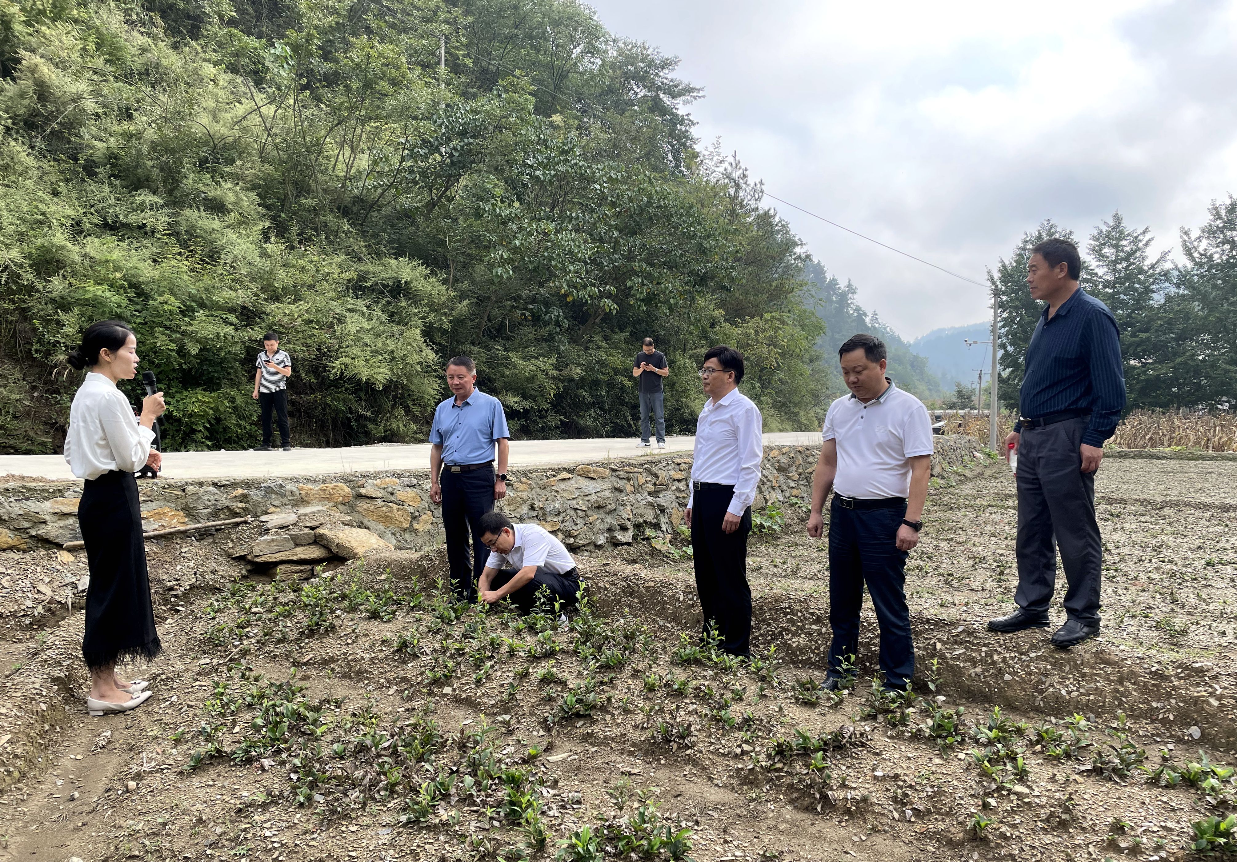 县政协专题视察乡村振兴示范村建设工作