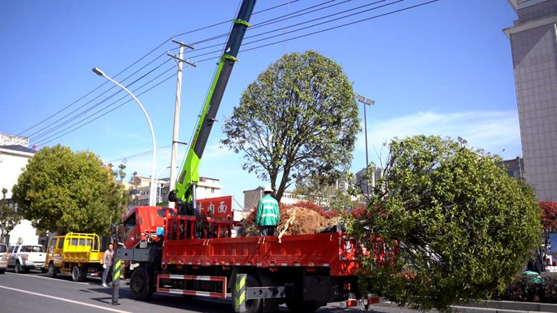 县住建局：  点亮“青绿底色” 共建美好环境