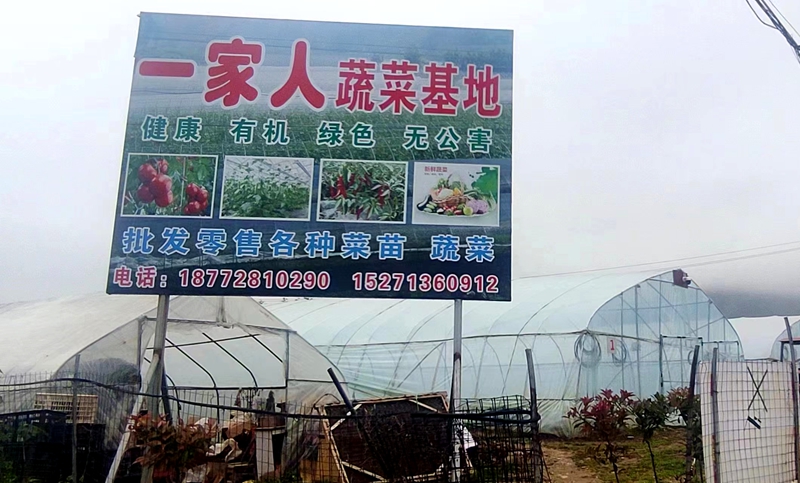 房县一家人蔬菜基地：年销100万棵蔬菜苗