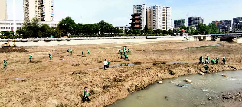 县住建局：清理河道水草 守护水域环境