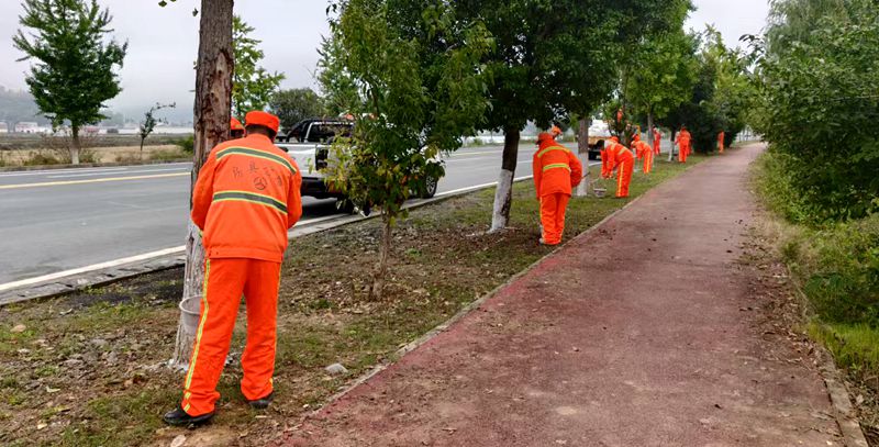 县公路养护中心：涂白护绿保畅通 精细养护迎秋冬