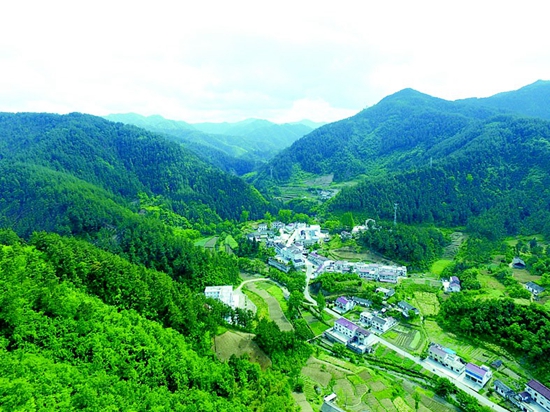 绿染山川惠万民