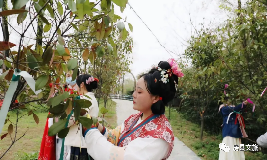 房县这群时空“穿越者”，行走在高桥村的油菜花地里......