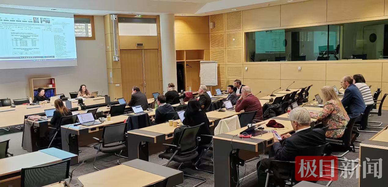 湖北“十大楚药”艾叶，被欧洲药典“看中”了！十堰专家推动纳入标准研究计划